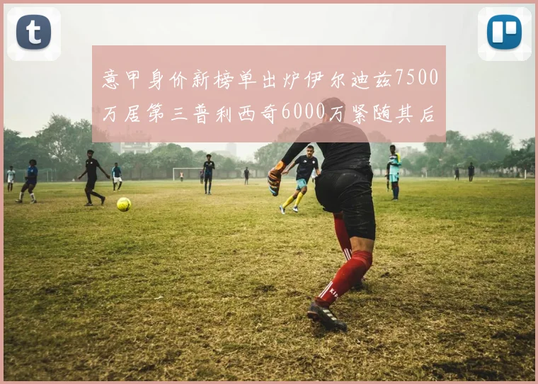 意甲身价新榜单出炉伊尔迪兹7500万居第三普利西奇6000万紧随其后