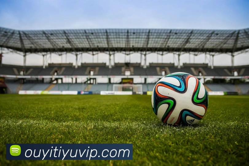 App Interface Preview