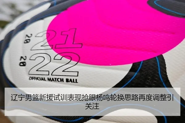 辽宁男篮新援试训表现抢眼杨鸣轮换思路再度调整引关注 - oetysports